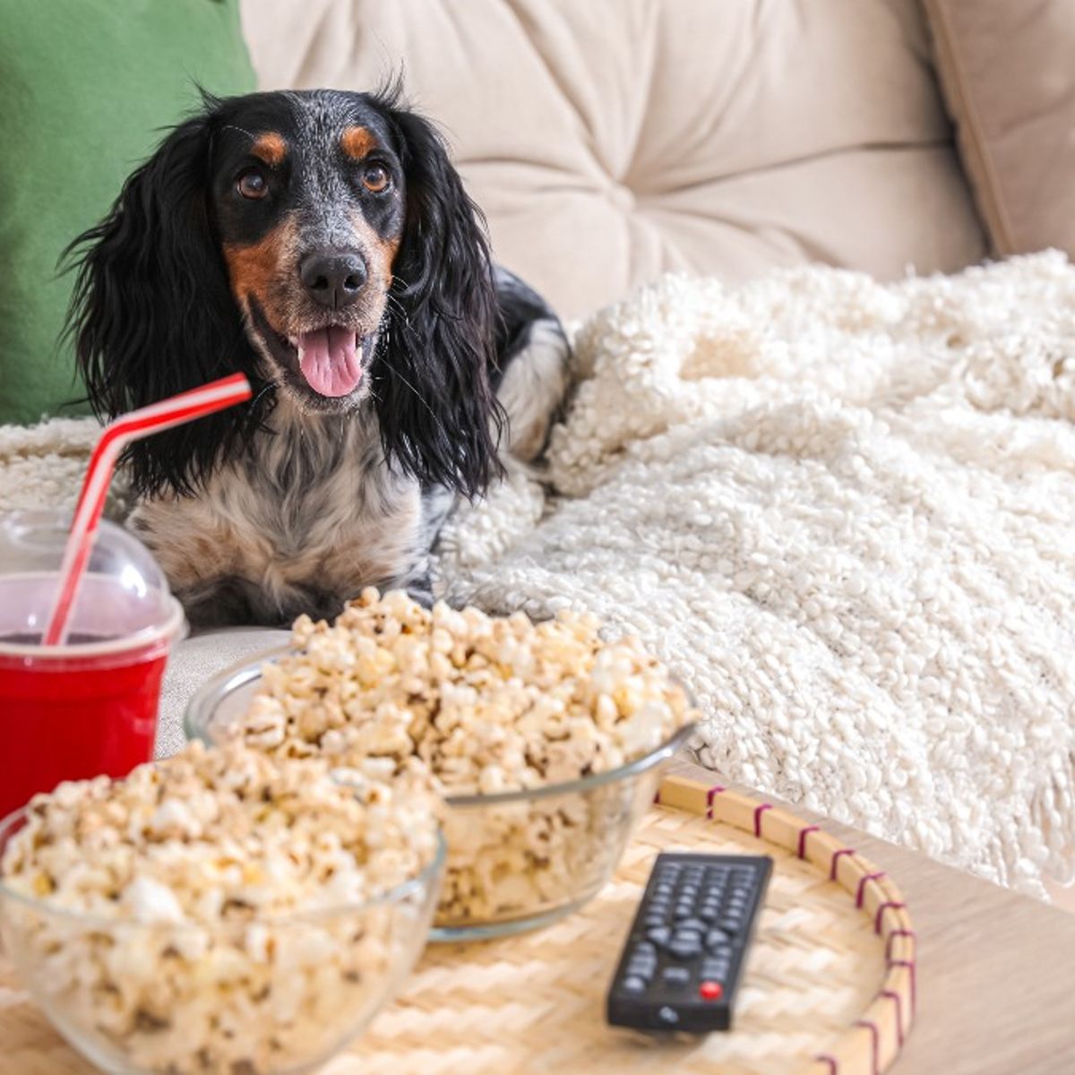 Kan een hond doodgaan door het eten van popcorn?
