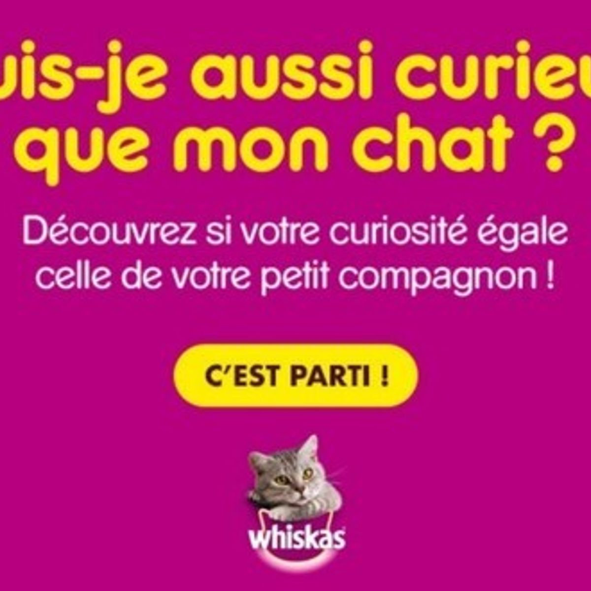 Concours Gagnez 1 An De Nourriture Pour Chat