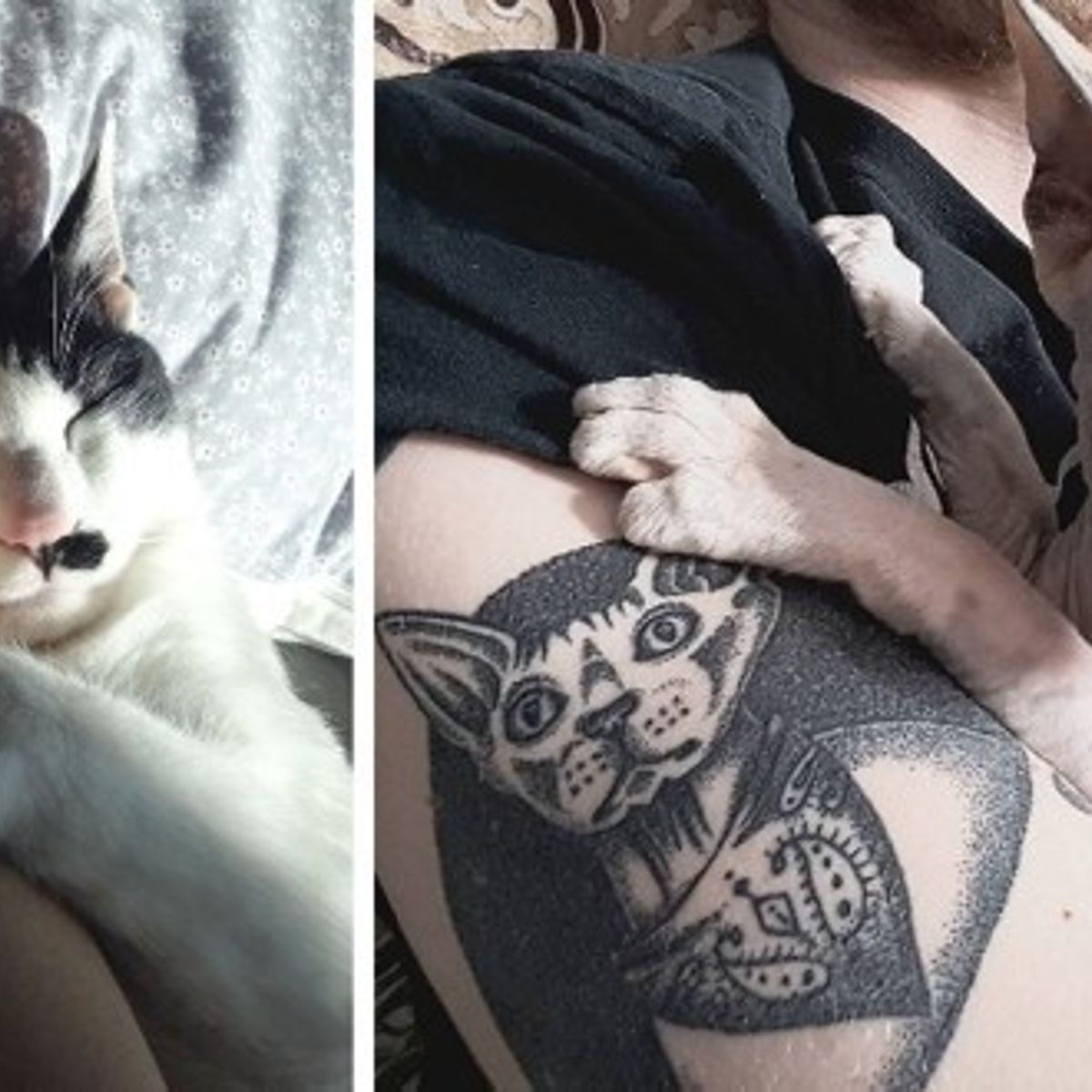 14 Adorables Tatouages Inspires Par Les Chats