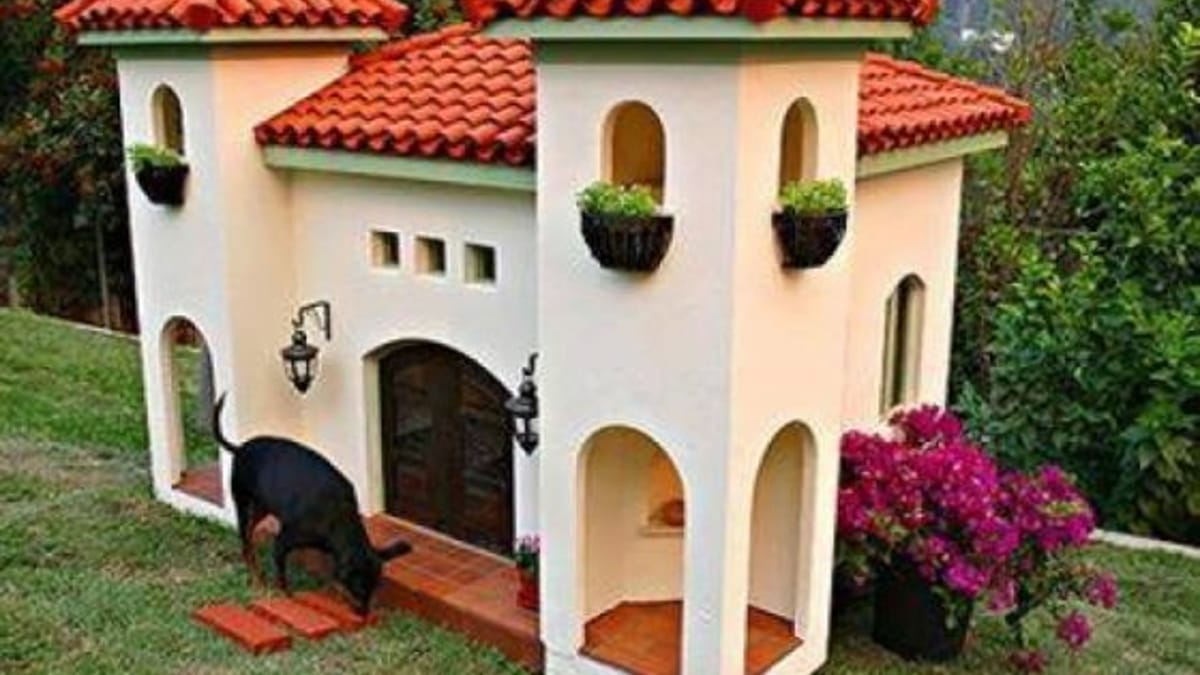 Fabriquer Une Niche Pour Chien Originale 19 niches originales que vous allez absolument vouloir pour votre chien