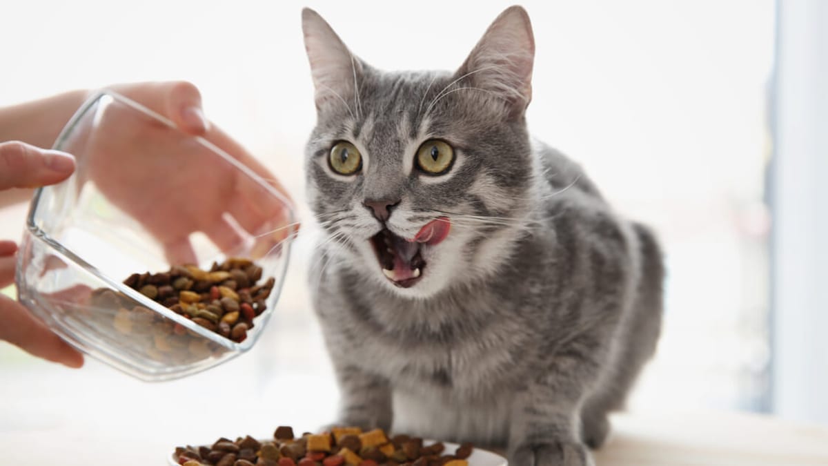 Policosanol (Triacontanol) supplier Policosanol (Triacontanol) supplier