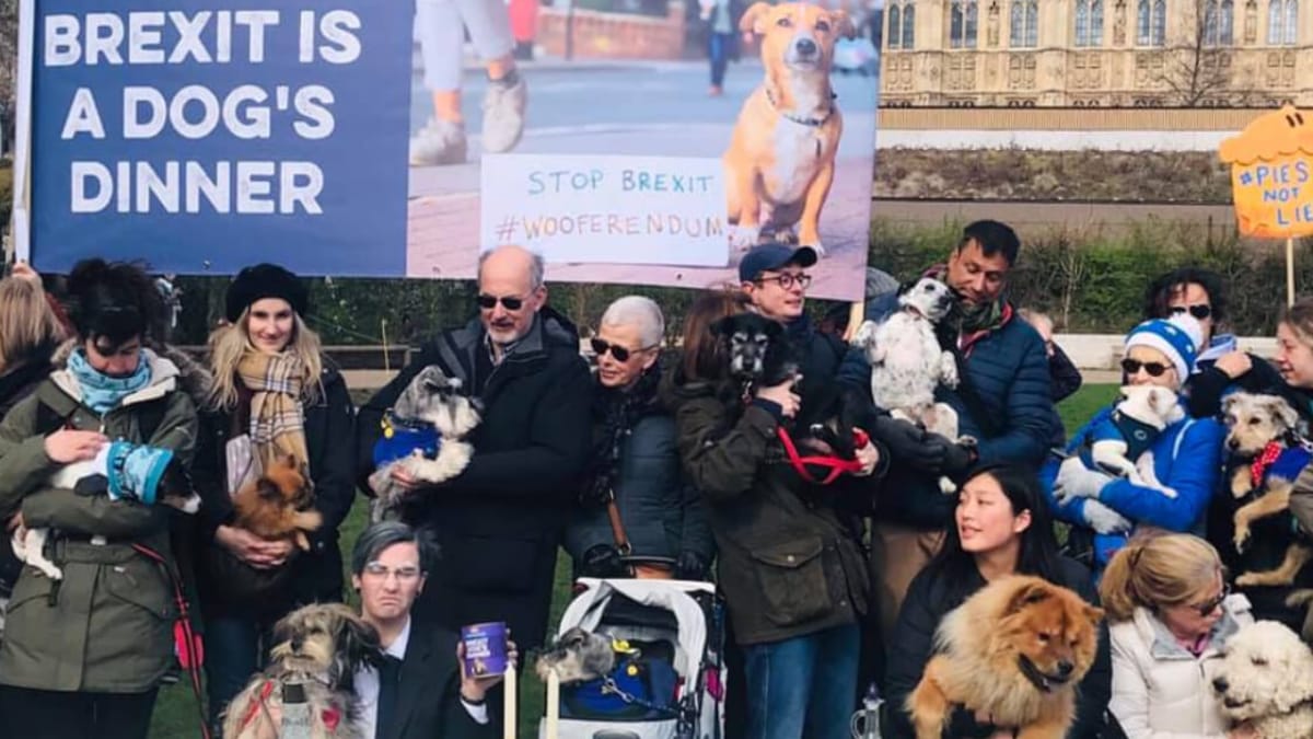 Brexit's 'Dog's Dinner' Campaign is catching everyone's eye