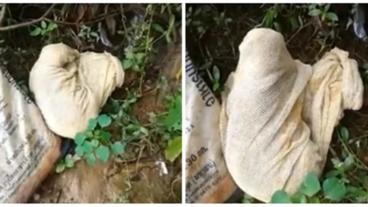 Urli nel bosco: escursionista scopre una scena agghiacciante