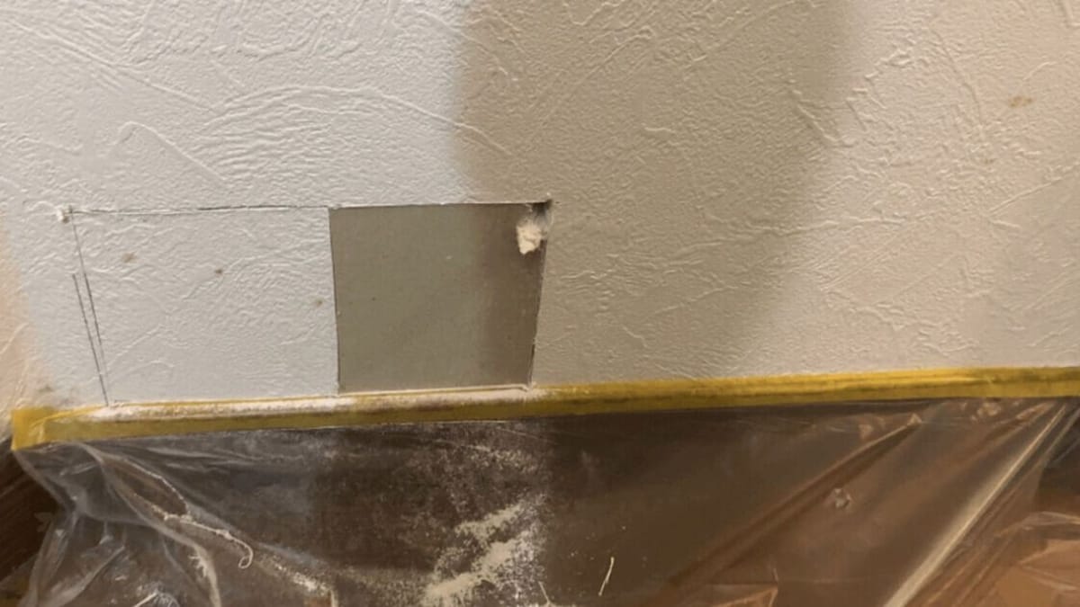 Foto. Sente dei rumori nel muro e decide di fare un buco per capire: la scoperta lo lascia increduli