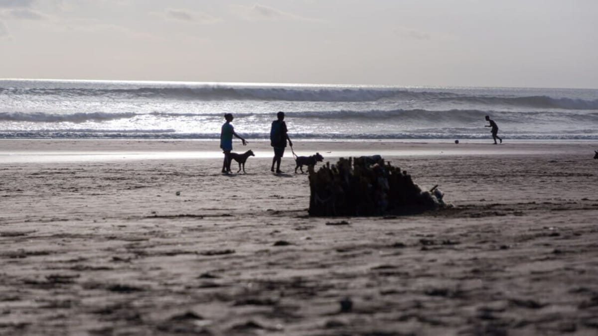 Pericolo in spiaggia: la sconcertante scoperta di una turista con il suo cane