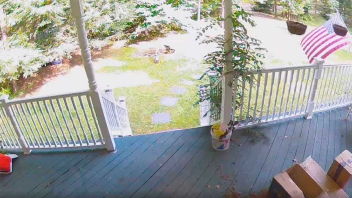 Postino sostiene di aver consegnato un pacco: la telecamera di sorveglianza svela la verità