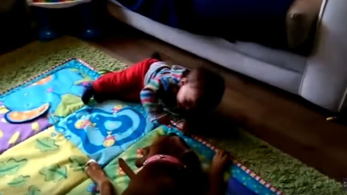 Video. Il gioco tra un bambino e un Boxer si trasforma in qualcosa di mai visto prima