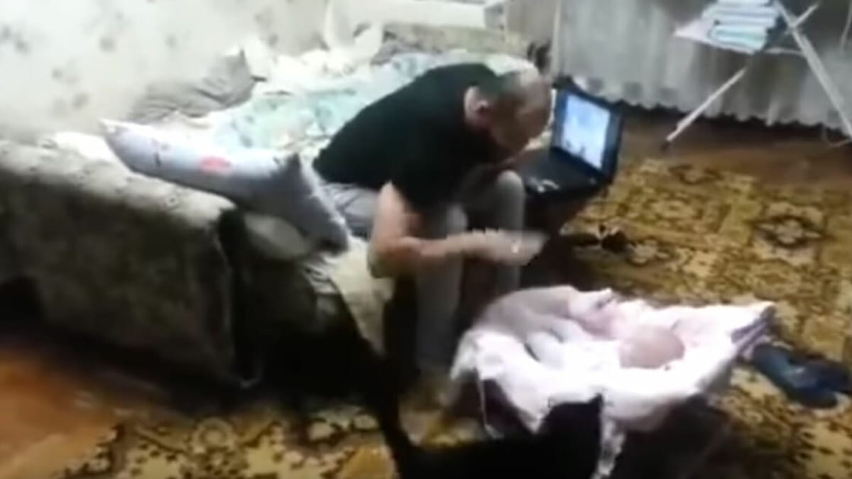 Video. Padre finge di picchiare il figlio, il gatto reagisce in modo inaspettato