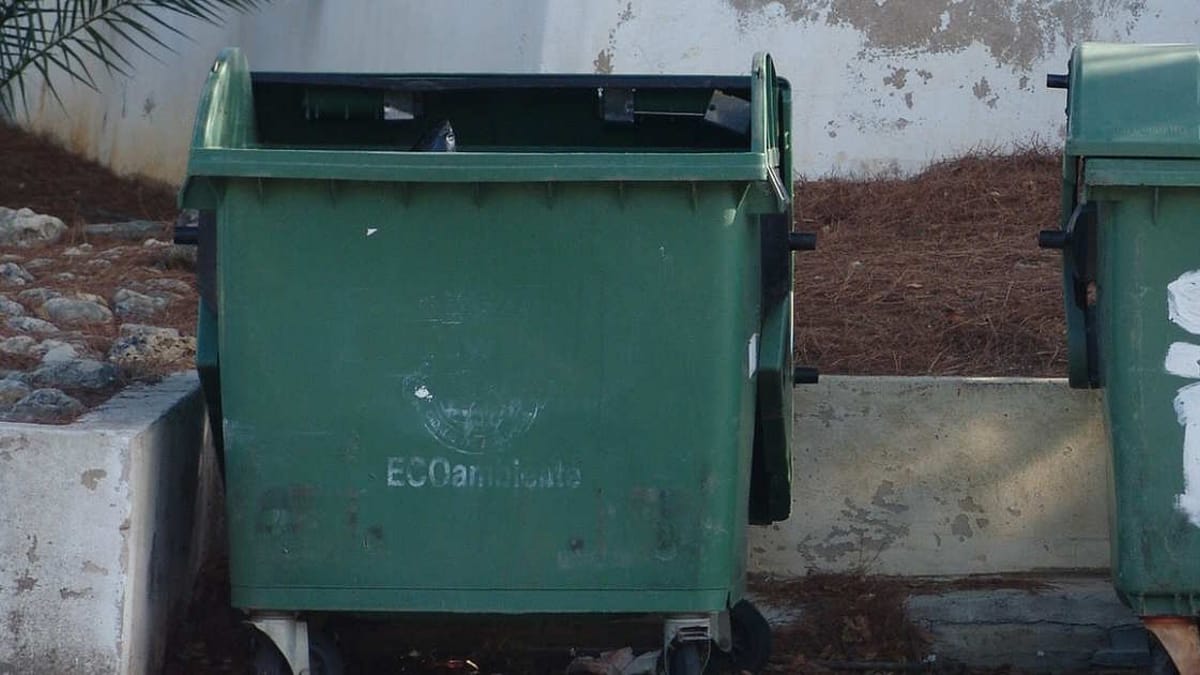 Sentono un rumore nella spazzatura. ecco cosa trovano