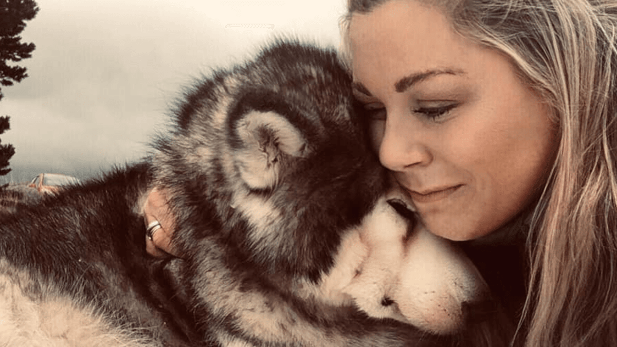 L'ultimo desiderio di un cane molto amato