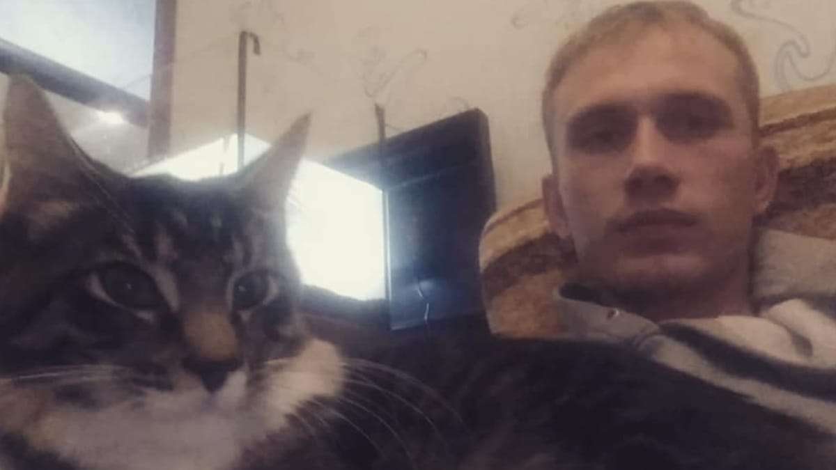 Video. Gattino combina un guaio in casa: il proprietario gli insegna come rimediare