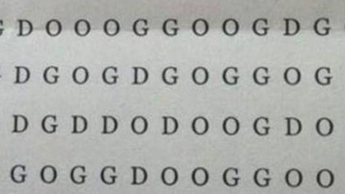 Tenta la sfida: se trovi la parola DOG nel cruciverba hai un quoziente intellettivo superiore a 120!