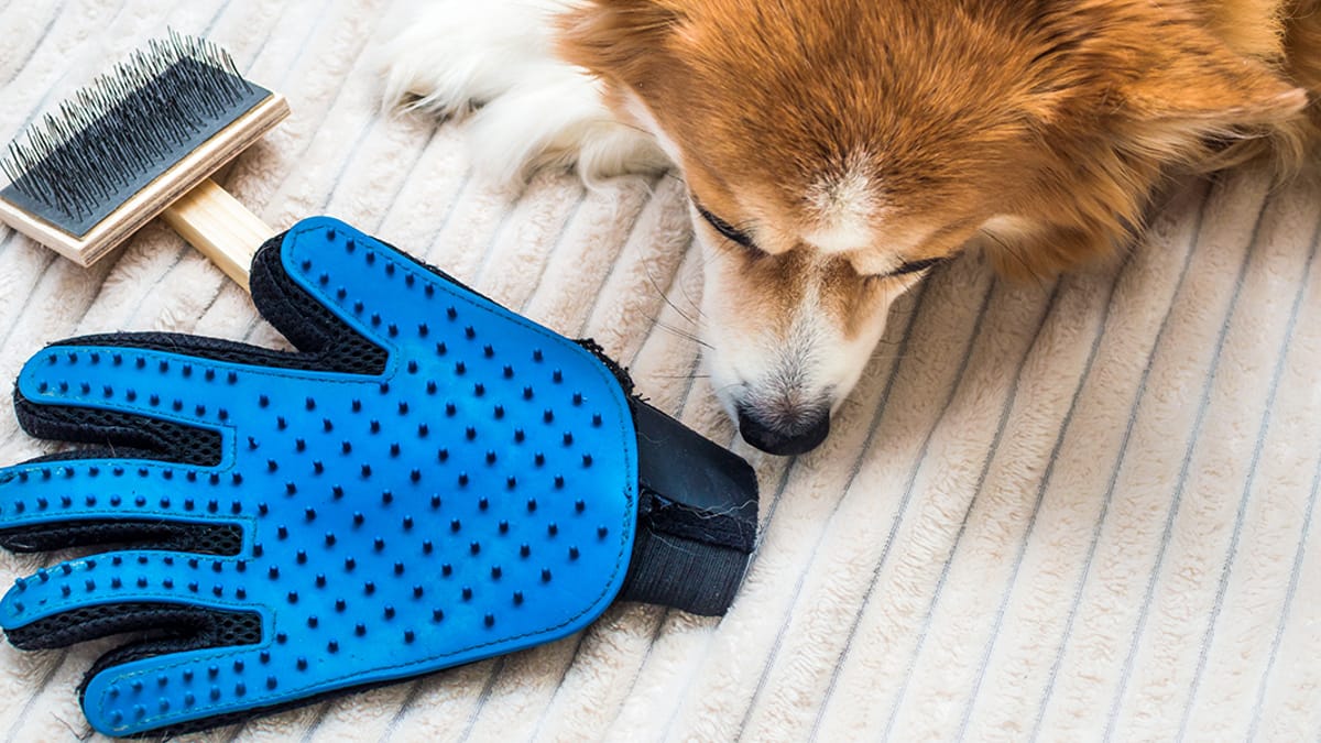 Guantes quitapelos ¿cuáles son los mejores?