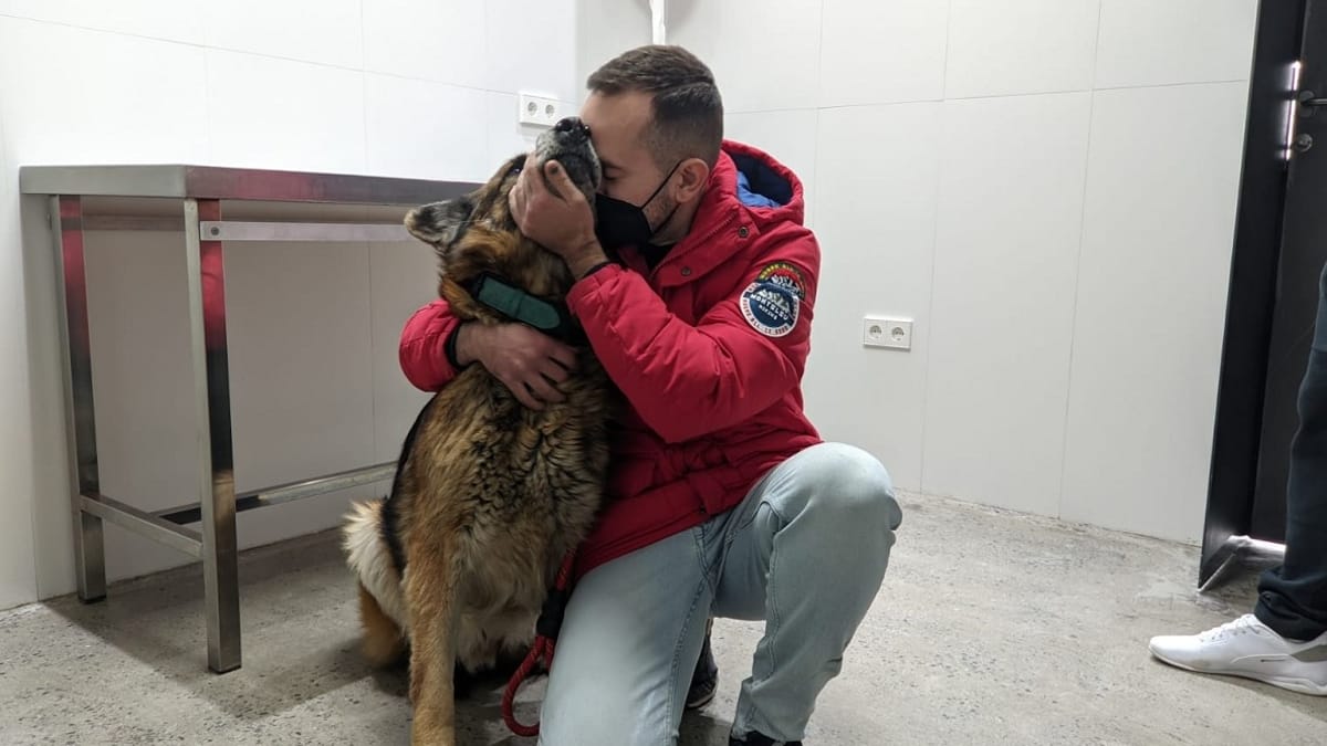 Video. La commovente storia di Dico, il cane ritrovato dopo 6 anni