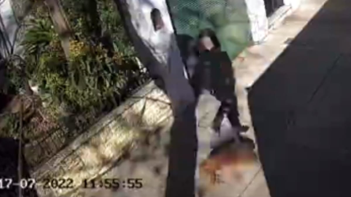 Video. Esce di casa con il suo cane cieco: quando pensa di non essere vista, fa un gesto atroce