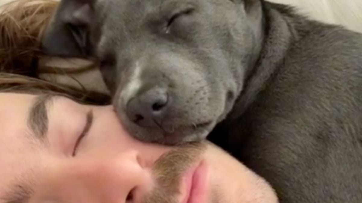 Video. Va per svegliare il fidanzato e assiste a una scena davvero toccante