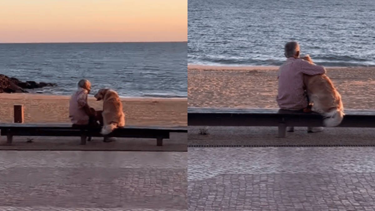 Video. Abbraccia il suo Golden Retriever in riva al mare, la scena commuove il web