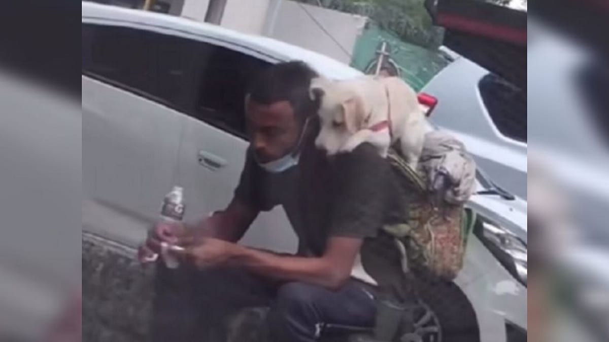 Video. «Chi ha poco è colui che dà di più»: il video che sta commuovendo migliaia di persone