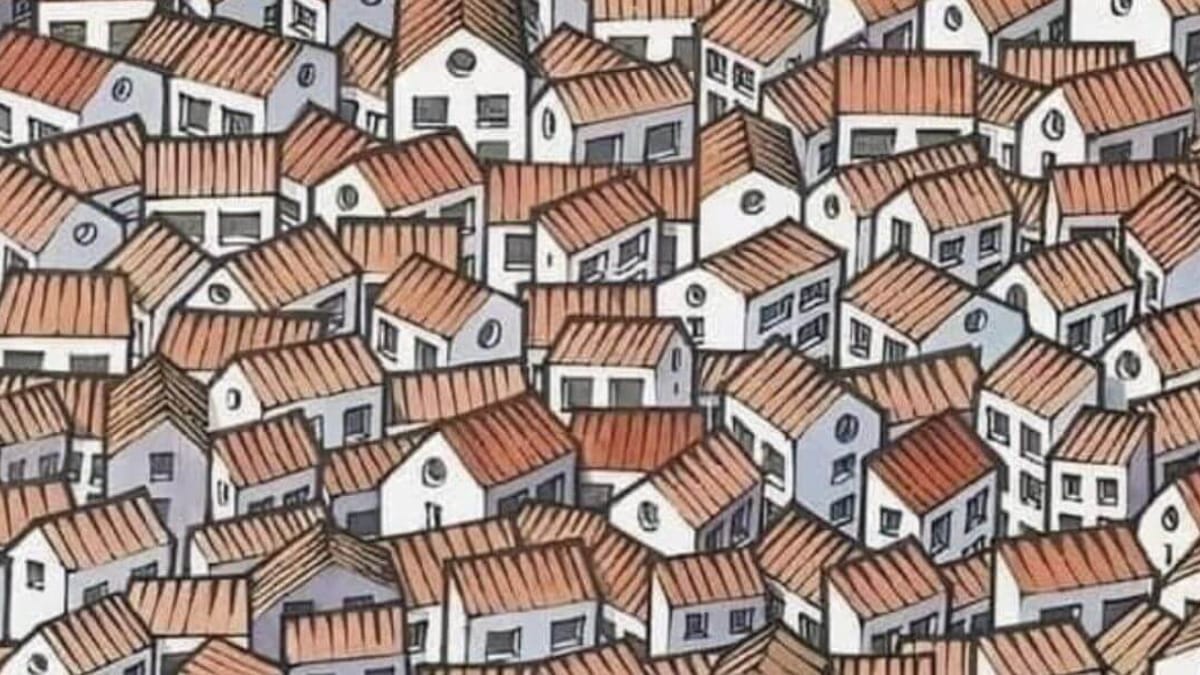 Metti alla prova le tue capacità di osservazione: trova il gatto tra le case!