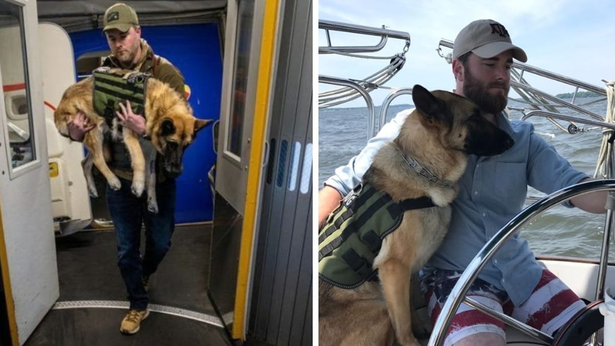 Video. L'ultimo volo del cane di servizio Kaya lascia tutti in lacrime