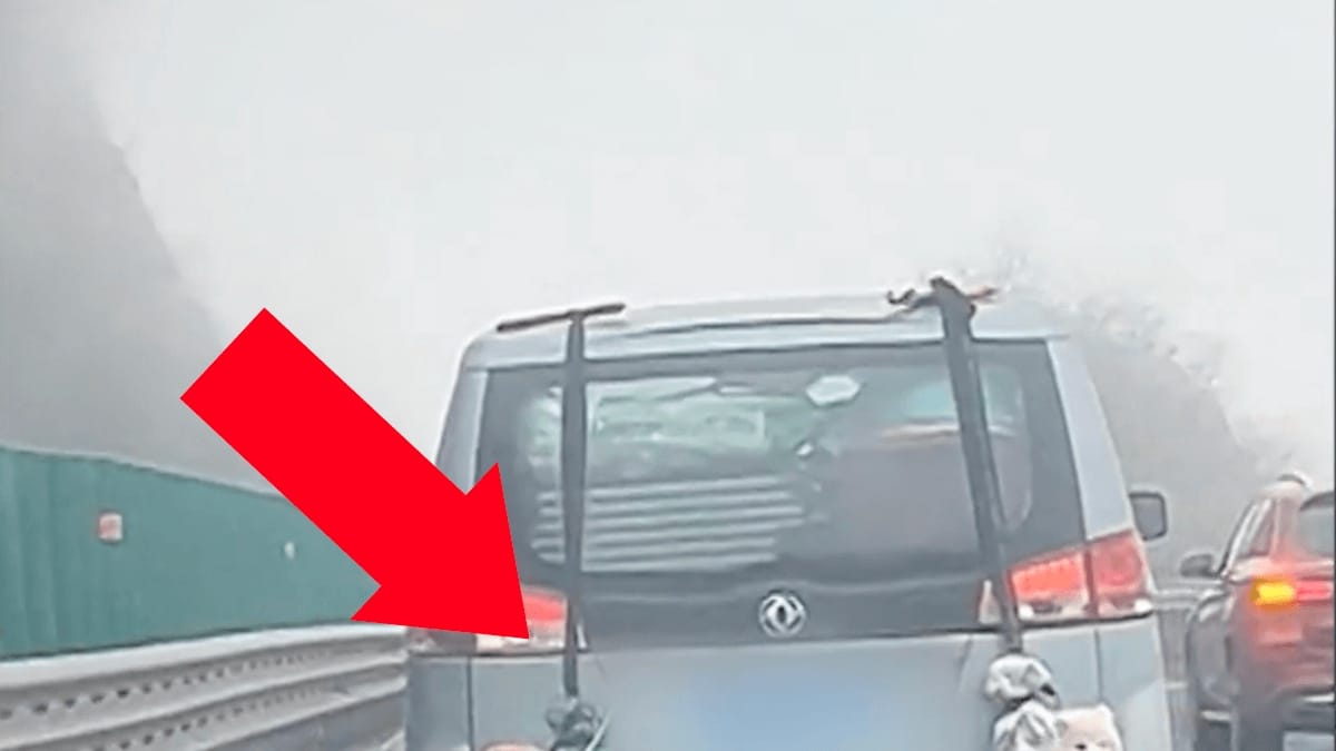 Shock in autostrada: quello che fa questo automobilista è scandaloso