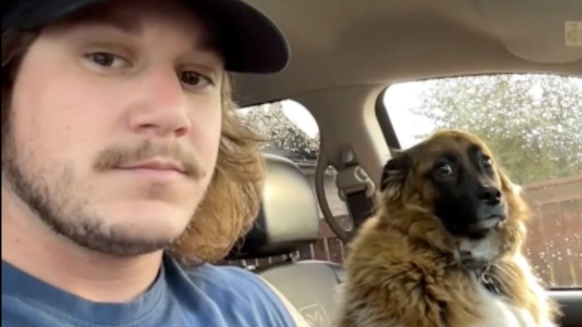 Video. Fa una domanda al suo cane in macchina: la reazione dell'animale è esilarante!