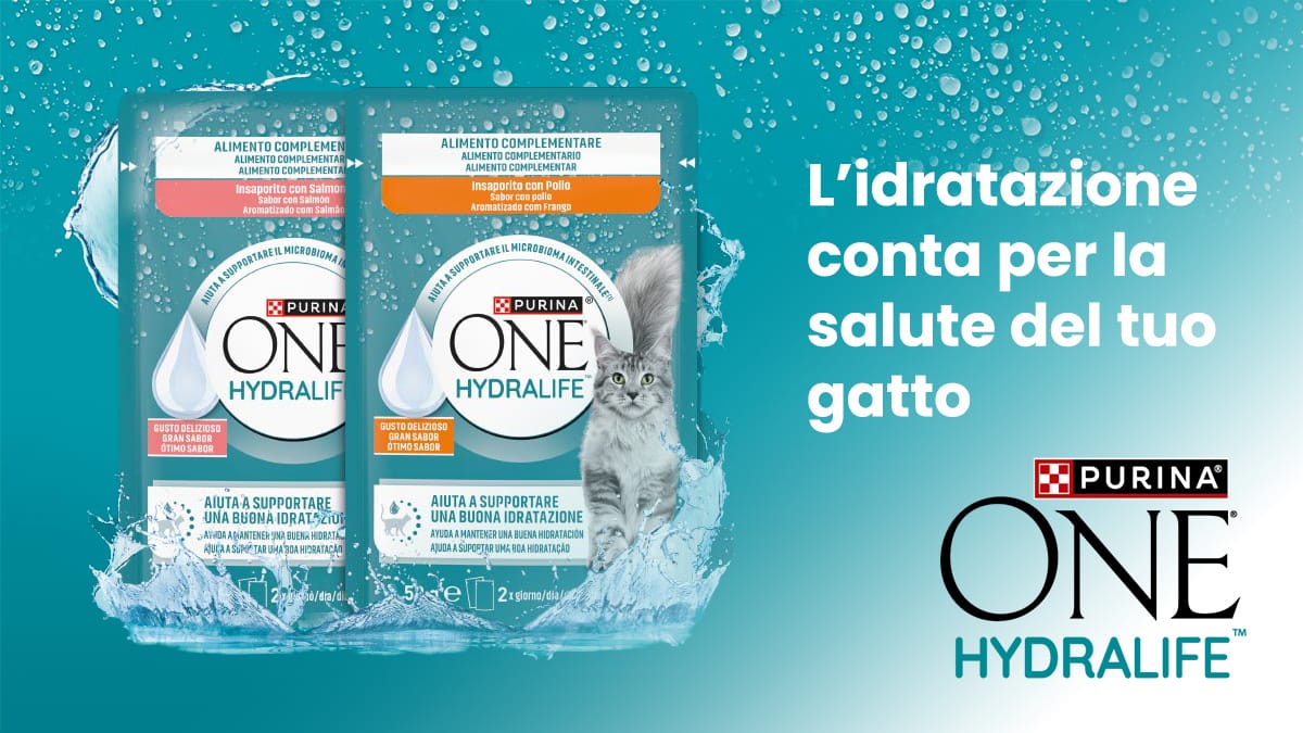 Purina ONE® HYDRALIFE: rendi semplice la nutrizione quotidiana del tuo gatto! Scopri come partecipare al test prodotto gratuito!