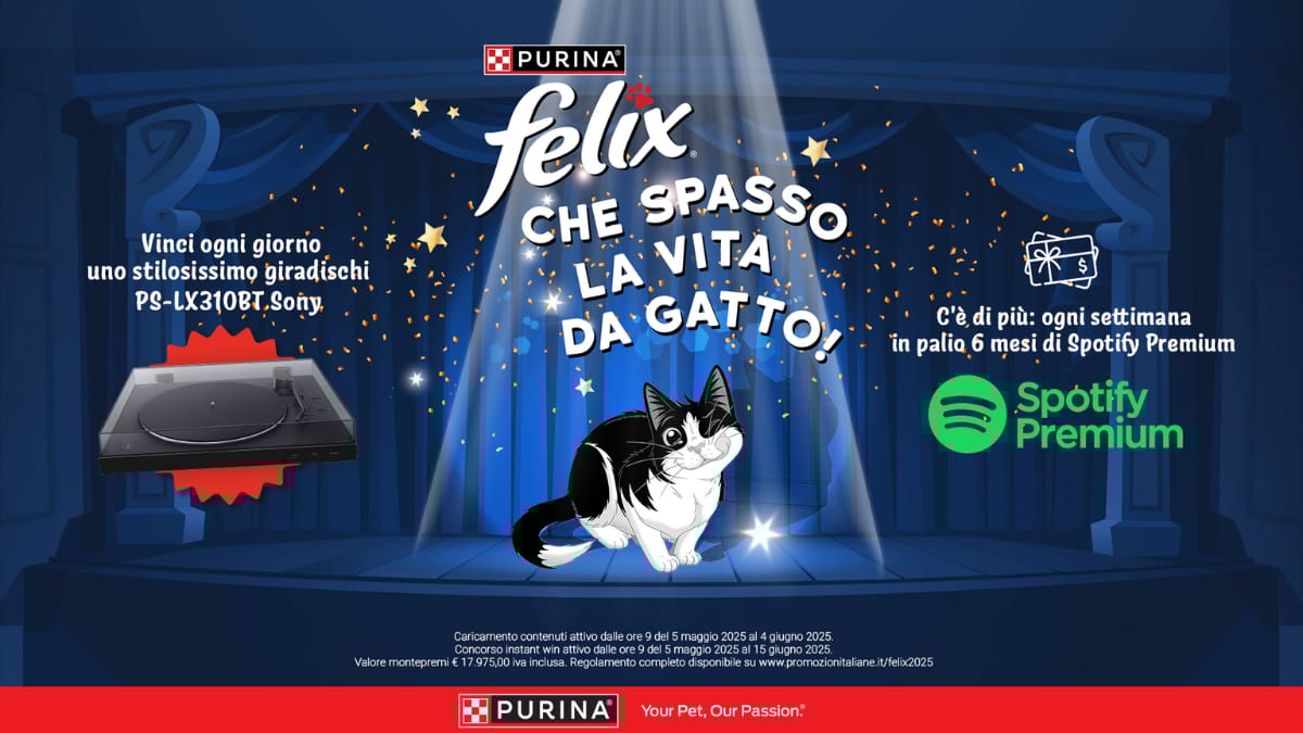 Il tuo gatto è divertente? Partecipa al nuovo concorso Felix “Che spasso la vita da gatto!” e vinci premi favolosi!