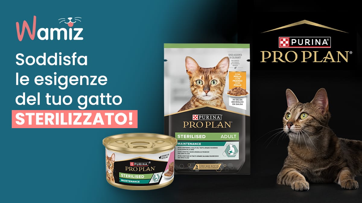 Scopri l'alimentazione per il benessere del tuo gatto sterilizzato con l'esclusivo kit PURINA® PRO PLAN® Sterilised!