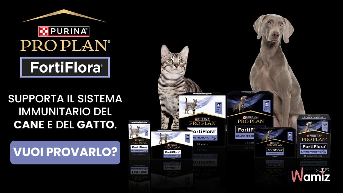 Partecipa al test del probiotico PRO PLAN® FortiFlora® per sostenere il benessere intestinale di cani e gatti!