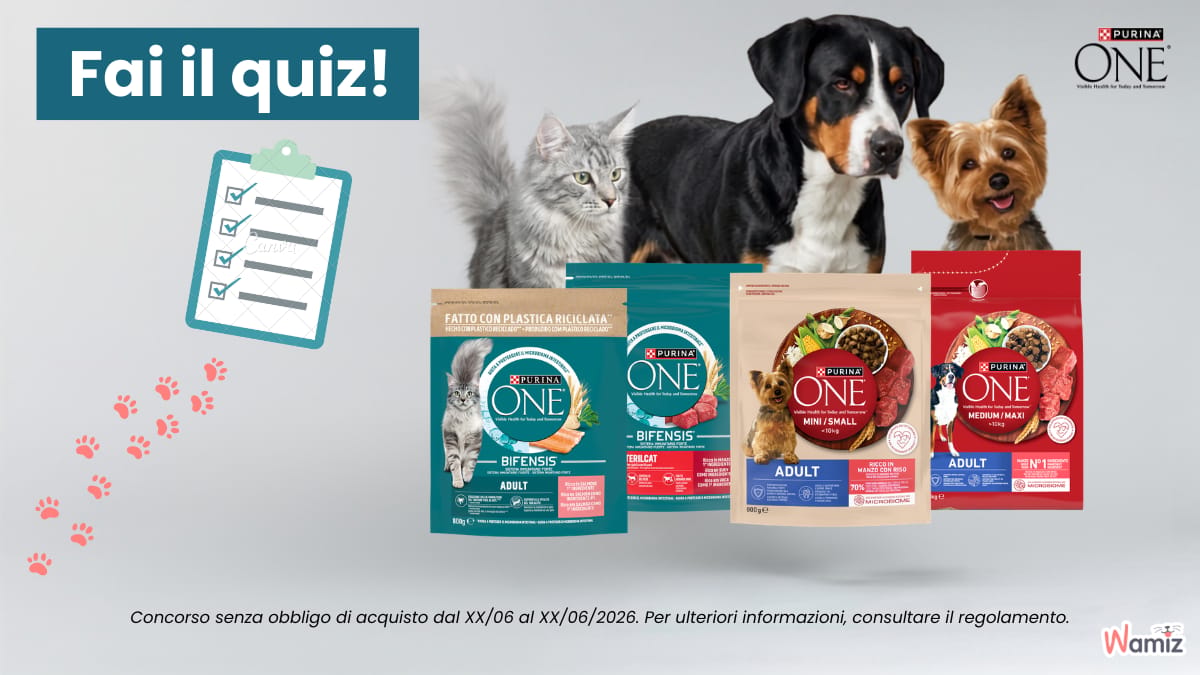 Partecipa al Programma 3 settimane Purina ONE: fai il quiz e prova a diventare tester!