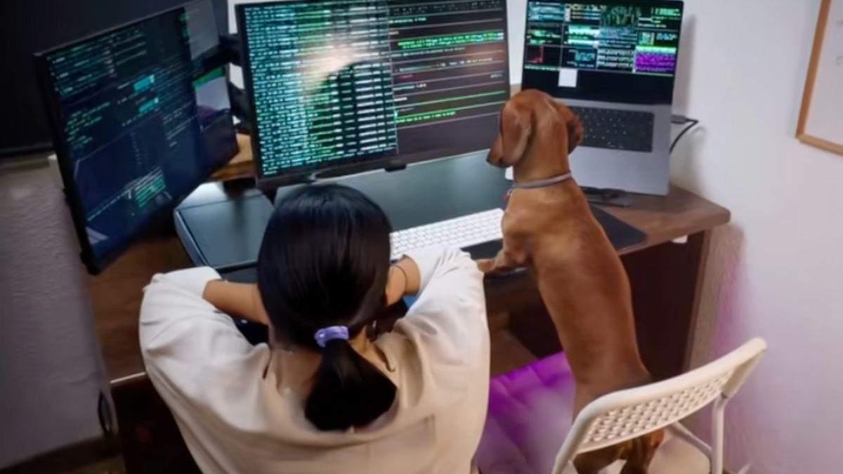 Video. Svelato l'hacker responsabile del blackout elettrico in Spagna!