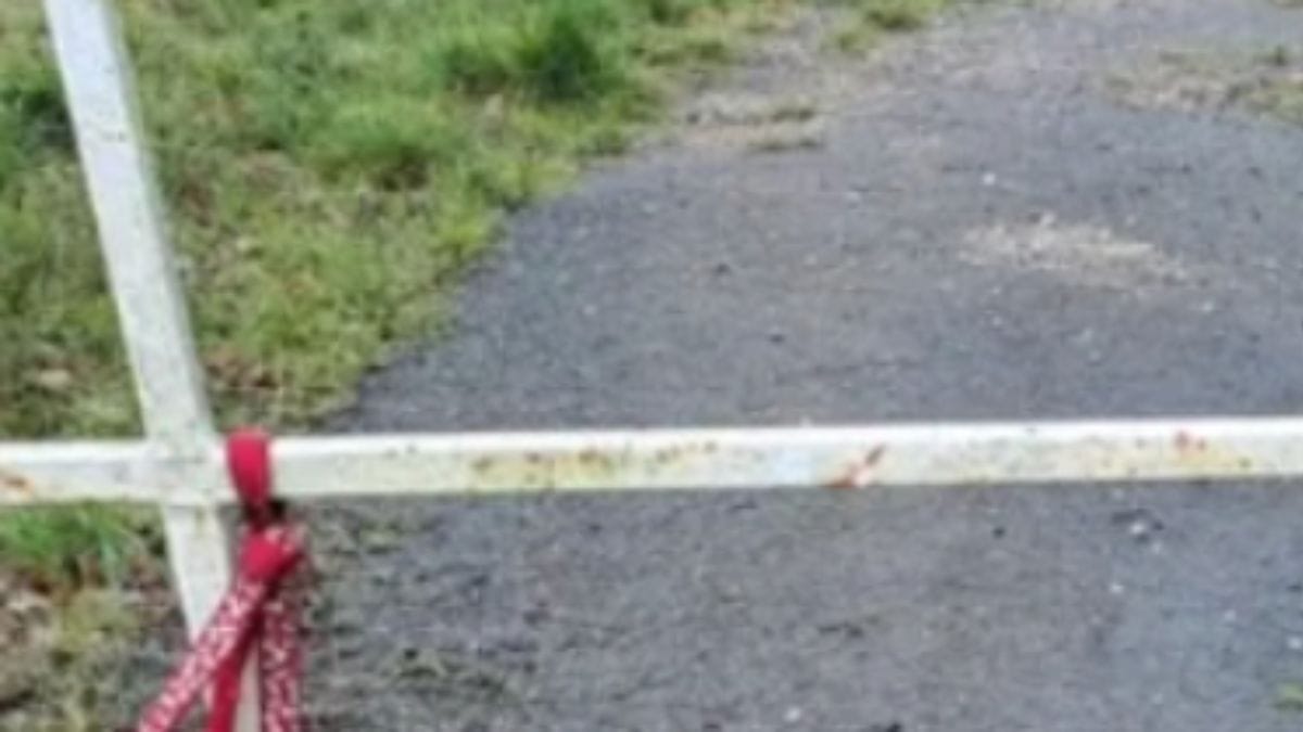 Durante un giro in bicicletta, si ferma di colpo: quattro paia di occhi lo supplicano di intervenire