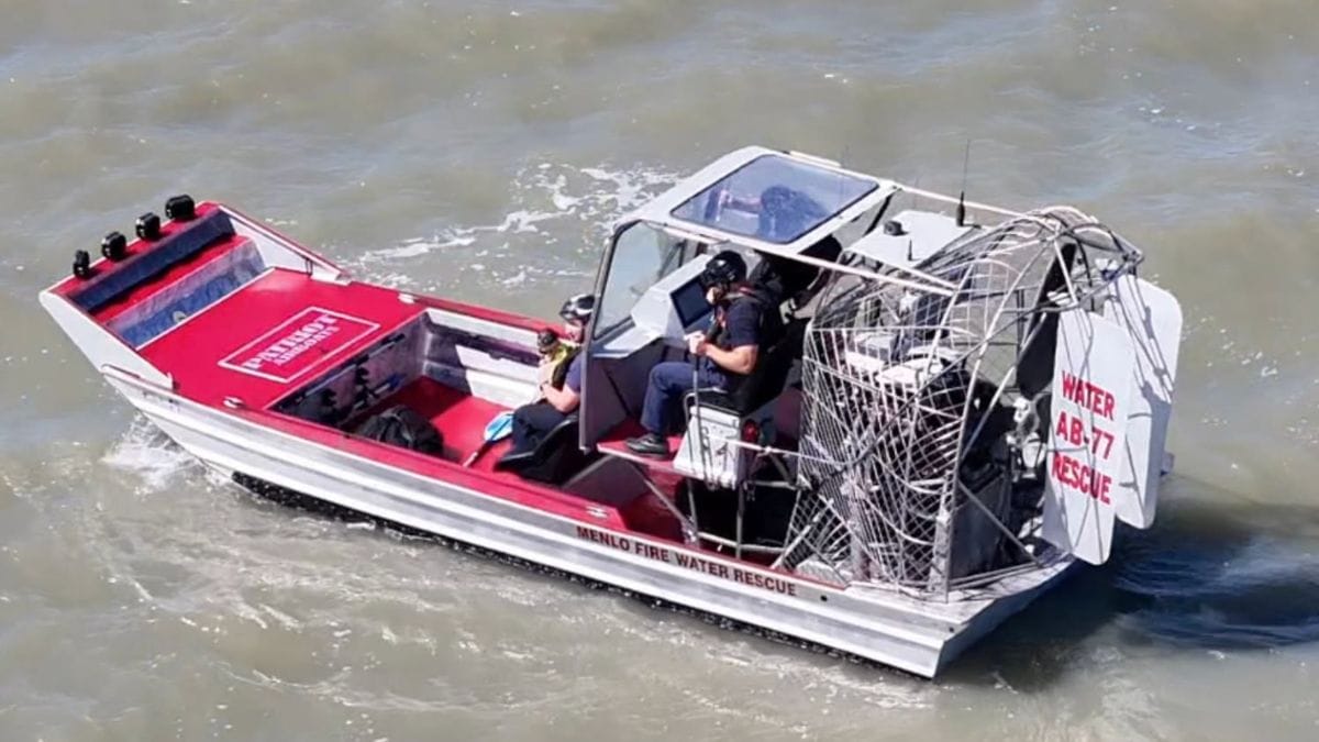 Scomparsa durante i festeggiamenti: una cagnolina ritrovata in mezzo alla baia di San Francisco (USA)