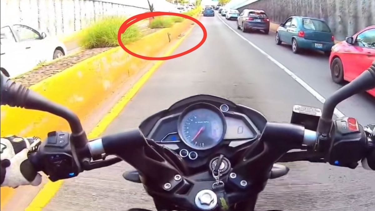 Video. All'ultimo secondo: un motociclista frena e diventa un eroe!