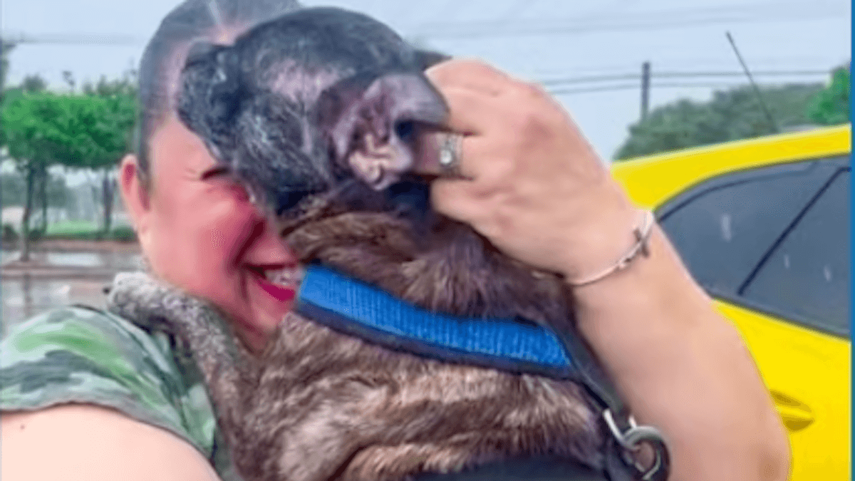 Video. Ritrovata dopo 8 anni: la cagnolina scomparsa durante l’uragano torna a casa