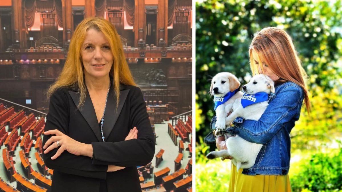 Video. Una riforma tanto attesa: dal primo luglio entrerà in vigore la Legge Brambilla