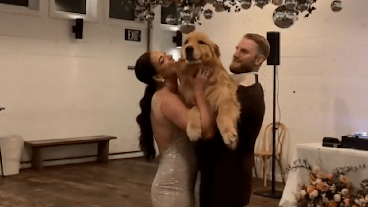 Questa coppia ha detto sì davanti al loro Golden Retriever…che gli ha proprio rubato la scena!