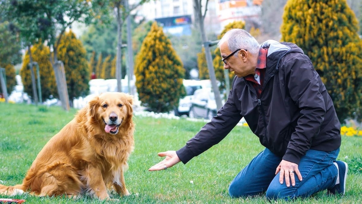 Bonus animali in Toscana: contributo per le cure veterinarie agli over 65, ma i fondi sono limitati