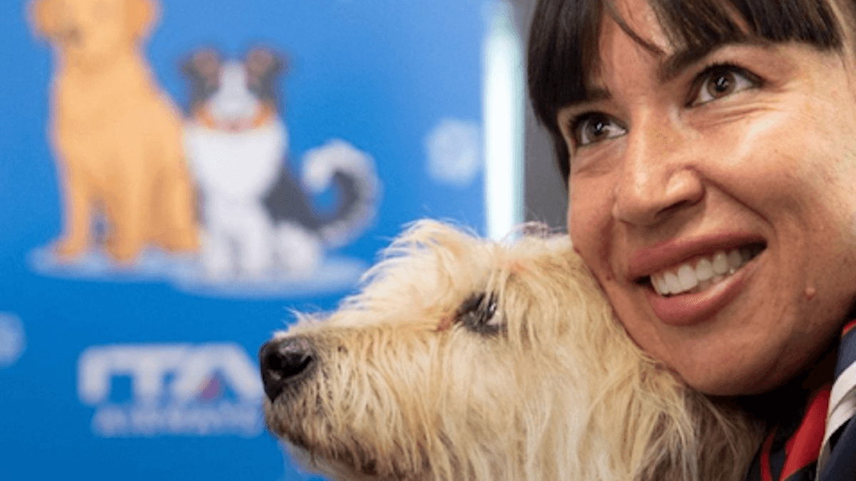 Ita Airways apre le porte ai cani di grossa taglia: ora volano in cabina con te