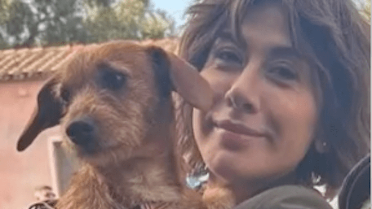 Virginia Raffaele adotta un cane conosciuto sul set: “È stato lui a scegliere me”