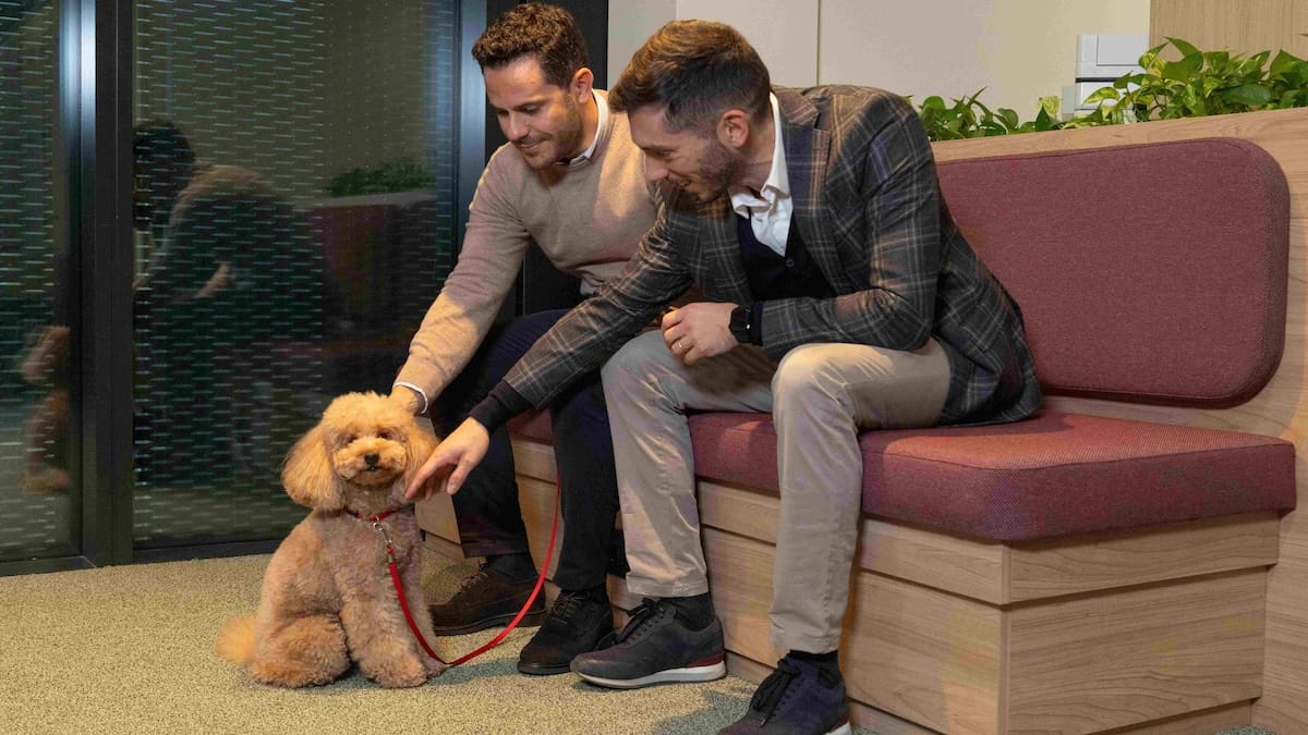 Giornata internazionale del cane in ufficio 2026: sempre più aziende scelgono ambienti pet friendly!
