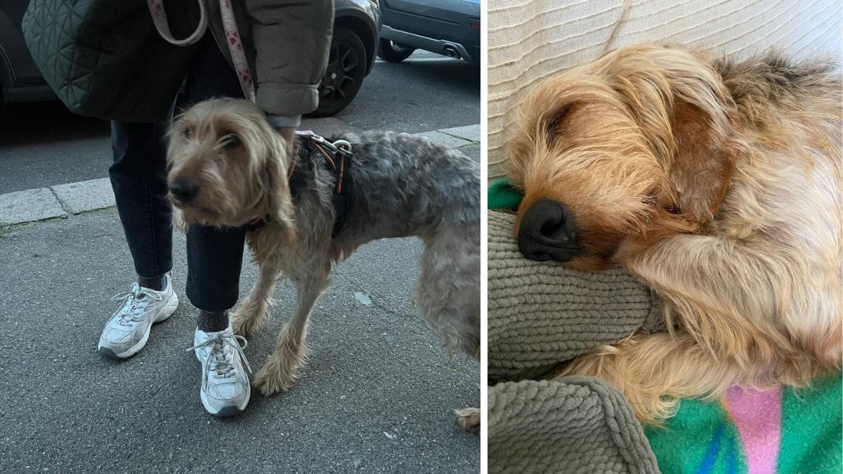 Alma: da ombra sofferente a simbolo di speranza. Il prima e dopo di una combattente