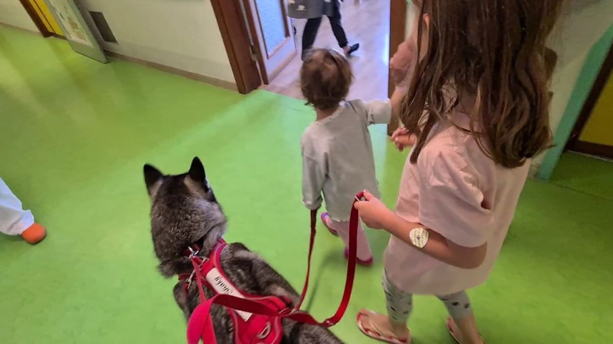 «Da quel giorno Maria è cambiata»: la rinascita di una bimba malata grazie ad una cagnolina