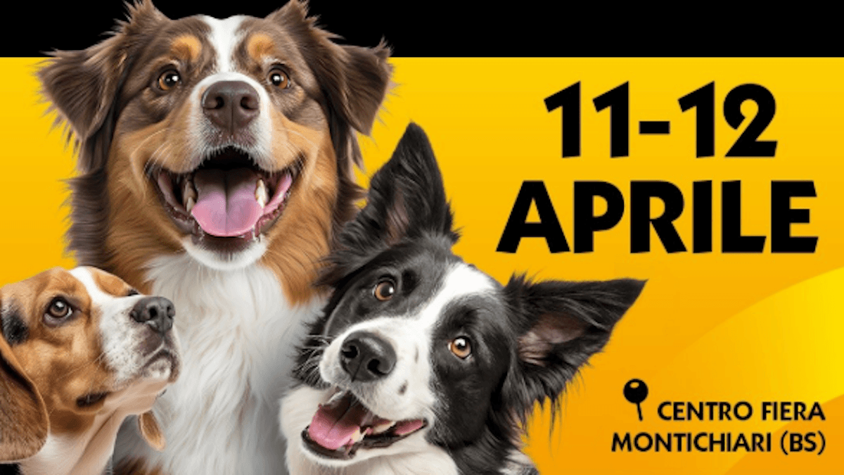 Montichiari (Brescia) diventa capitale europea dei cani: torna l'evento cinofilo con prove e spettacoli