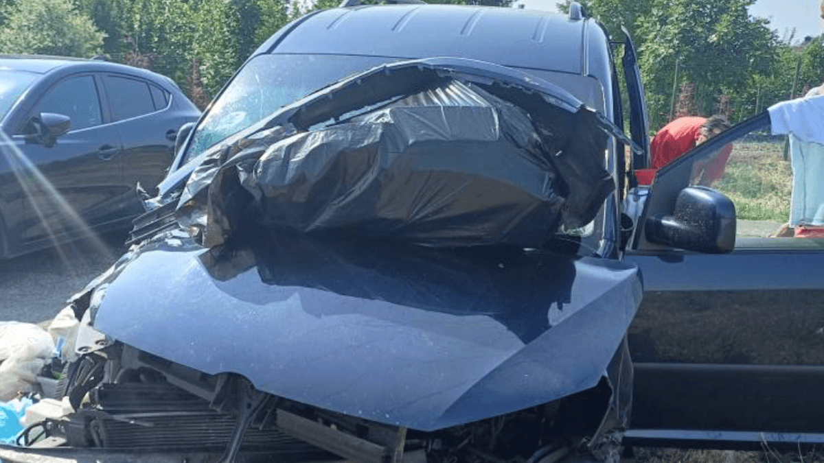 Incidente d'auto in Veneto: la corsa contro il tempo per salvare cani e gatti