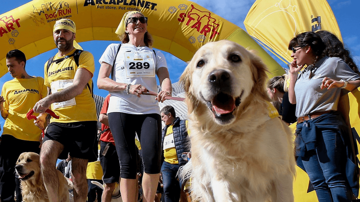 Dog Run 2026: torna la corsa più amata dai cani (e dai loro umani) nel cuore di Milano