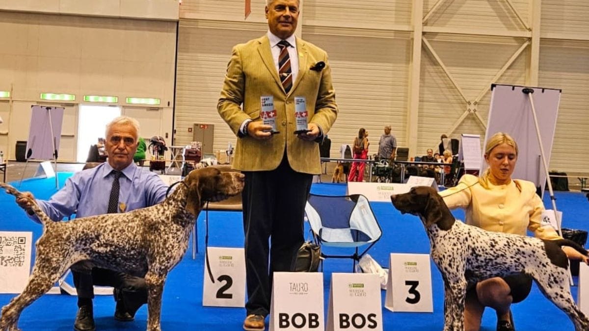 Il World Dog Show 2023 celebra i migliori cani del mondo Il World Dog Show 2023 celebra i migliori cani del mondo