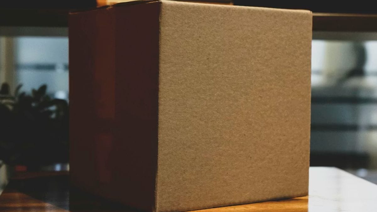 Scatola abbandonata in pieno inverno: la prima impressione lo mette sulla pista sbagliata