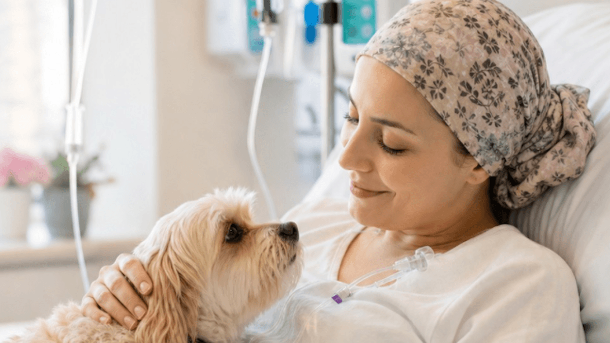 Negli ospedali arriva la “pet infusion”: fare la chemio accanto al proprio cane ora è possibile